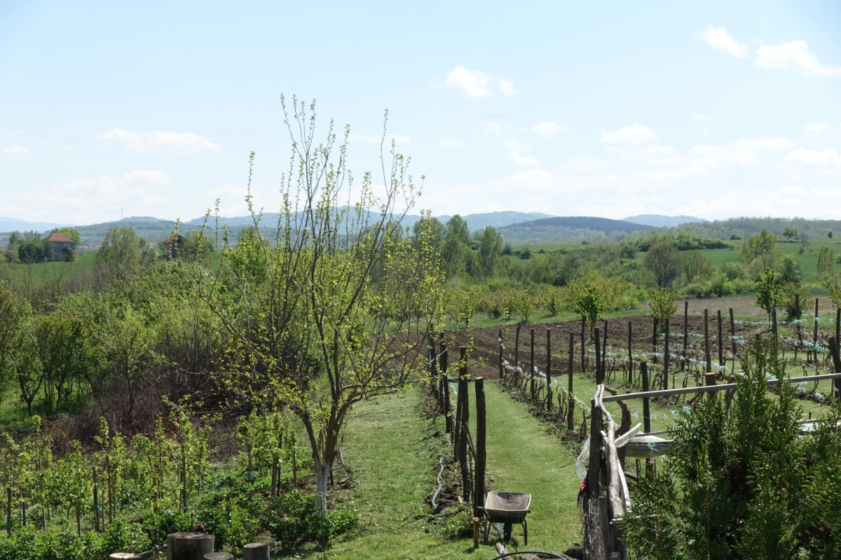 Landschaft und Garten bei Caricin Grad