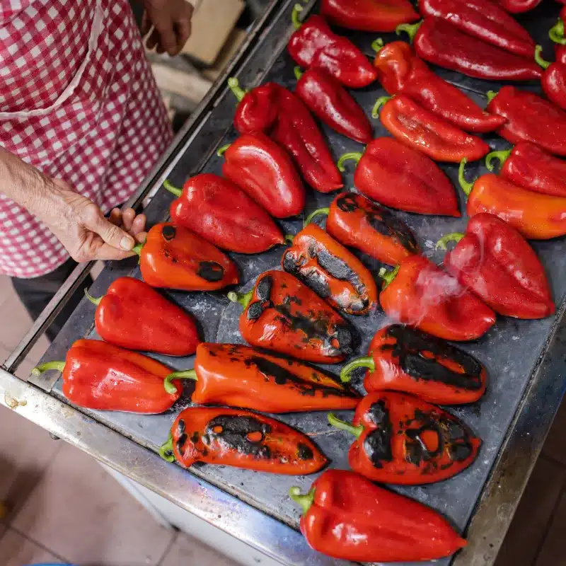 biobalkan paprika roesten kzaturovska 11