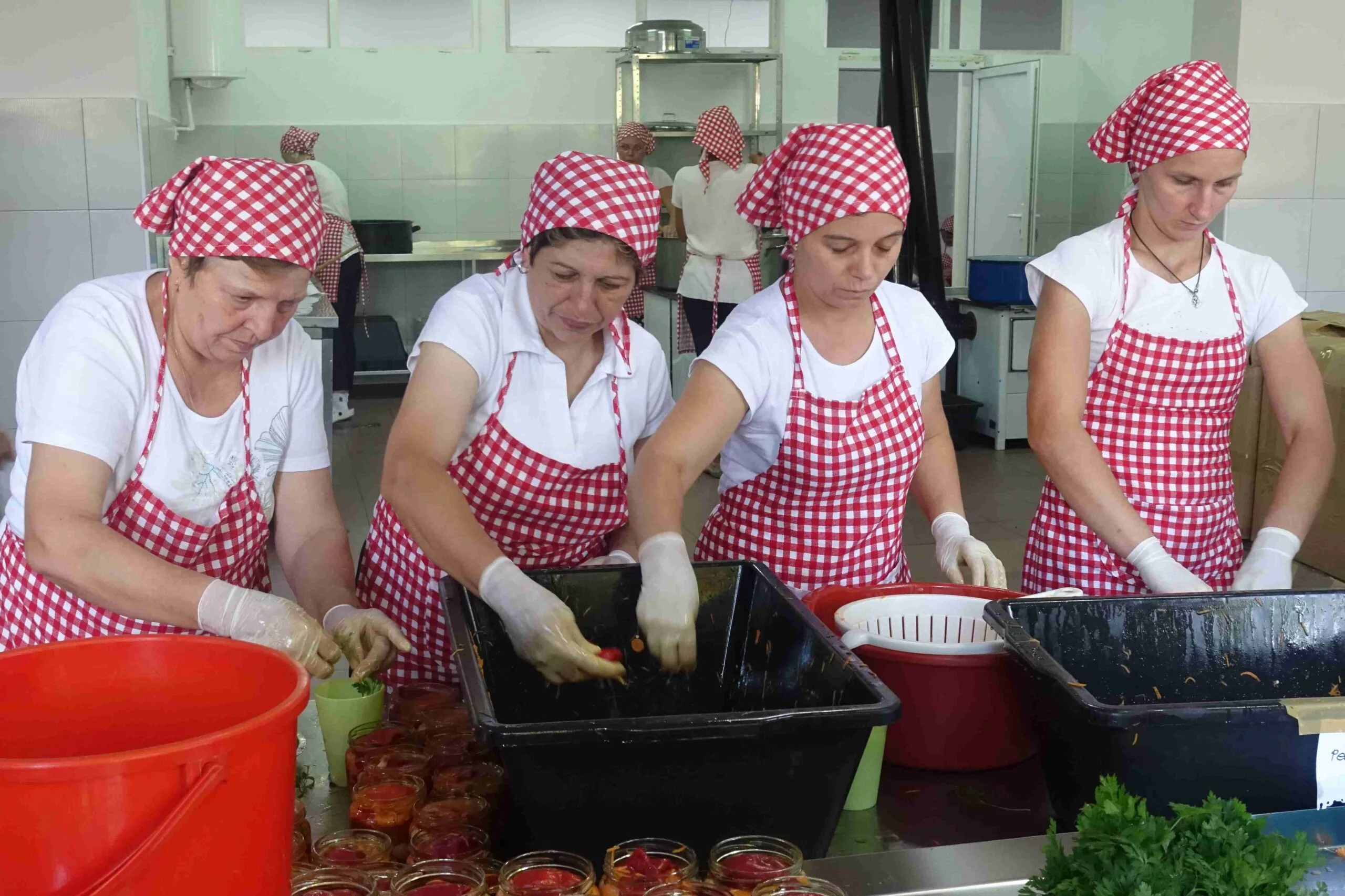 biobalkan radanskaruza bio gemuese verarbeitung frauen hummer