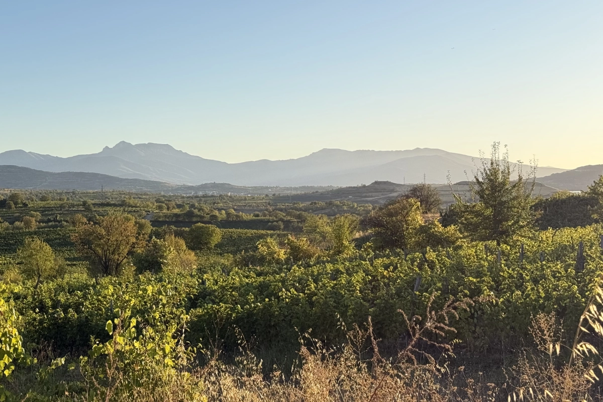 biobalkan weingarten eros kavadarci