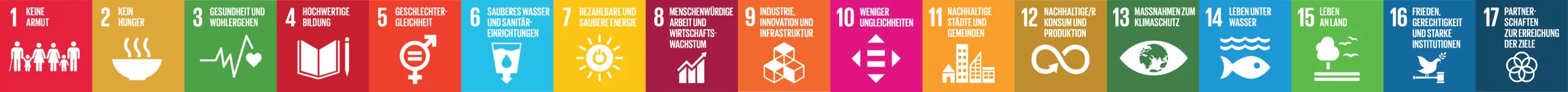 sdg17 borduere fullsize scaled 1